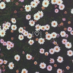 Meet your Posher, Ava